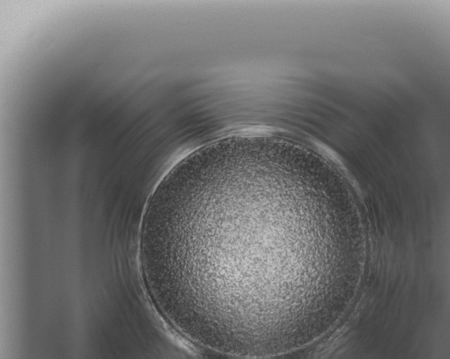 X0000060261194200511041341