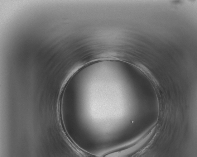 X0000060261196200511041341