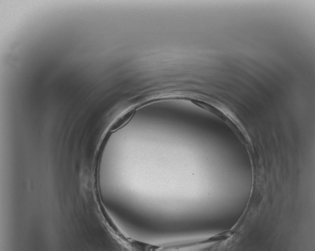 X0000060261197200511041341