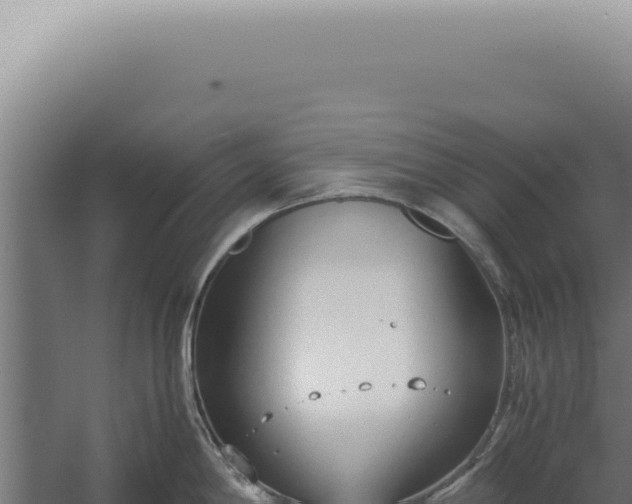 X0000060261198200511041341