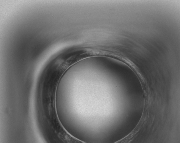 X0000060261199200511041341