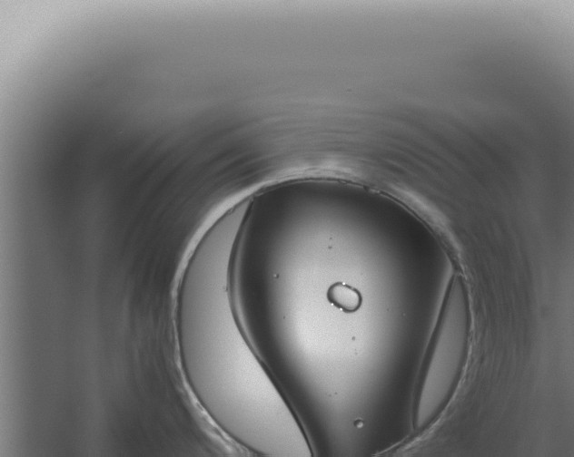 X0000060261200200511041341