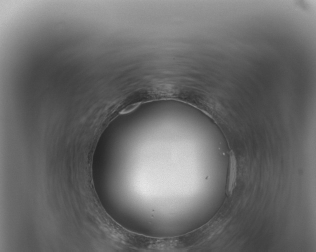 X0000060261201200511041340