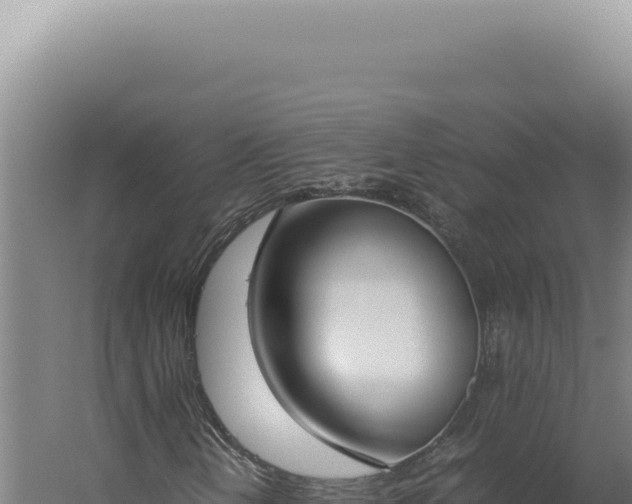 X0000060261202200511041340