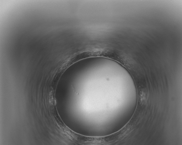 X0000060261204200511041340