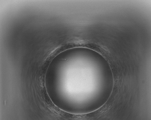 X0000060261205200511041340