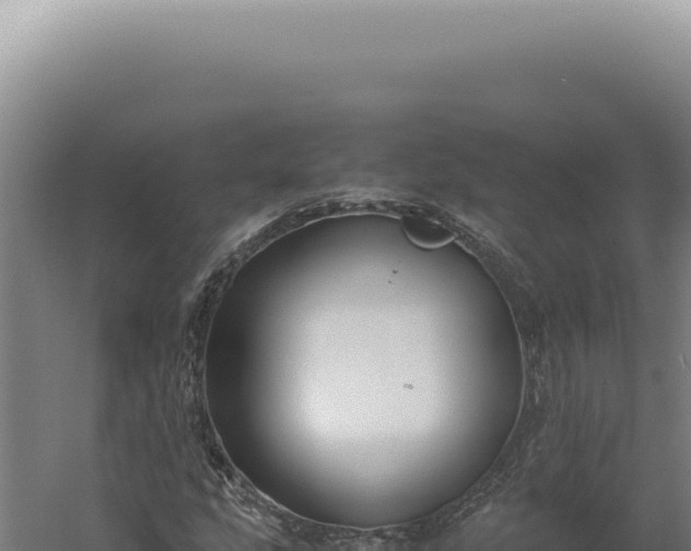 X0000060261207200511041340