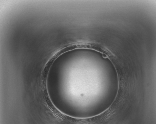 X0000060261208200511041340