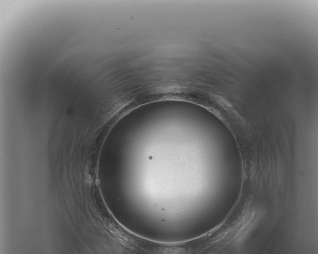 X0000060261209200511041340