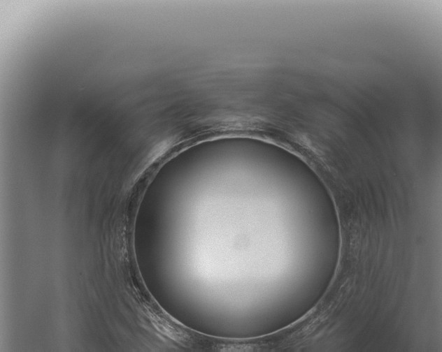 X0000060261211200511041340