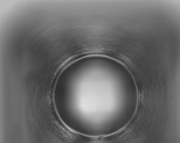 X0000060261212200511041340