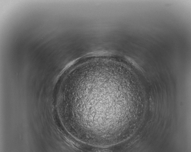 X0000060261213200511041340