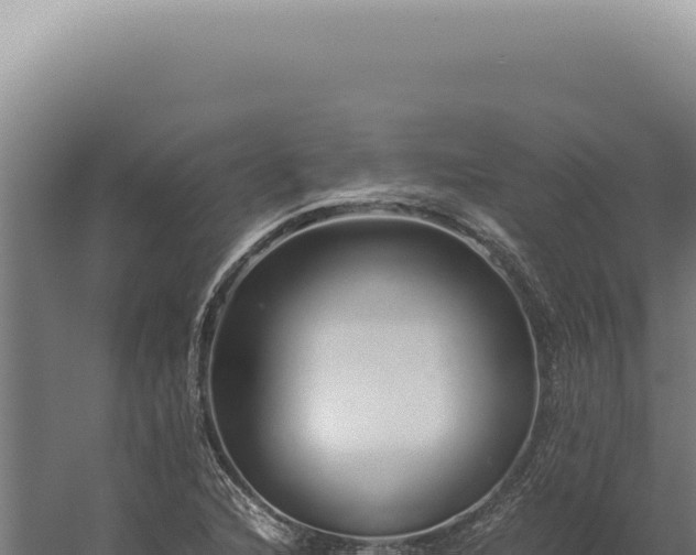 X0000060261216200511041340