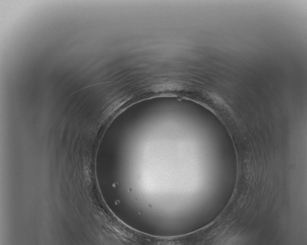 X0000060261217200511041340