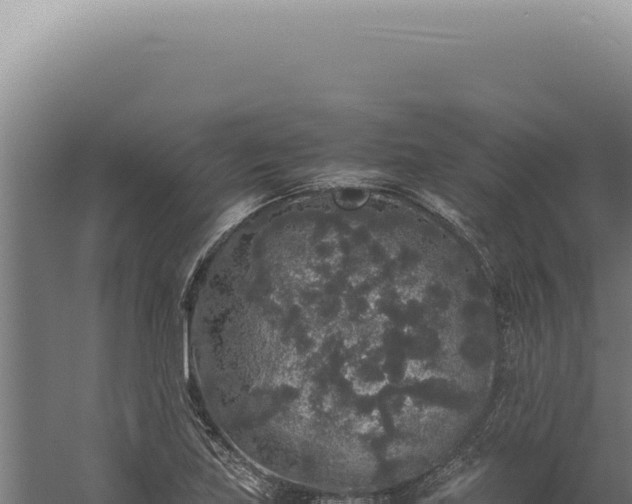 X0000060261219200511041340