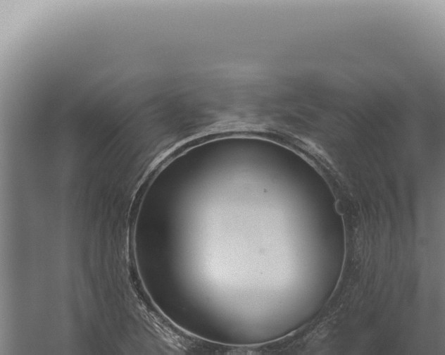 X0000060261220200511041340