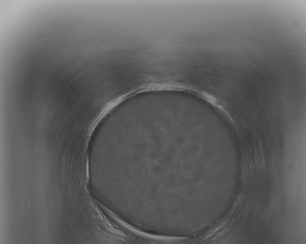 X0000060261221200511041340