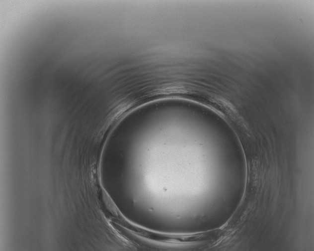 X0000060261225200511041341