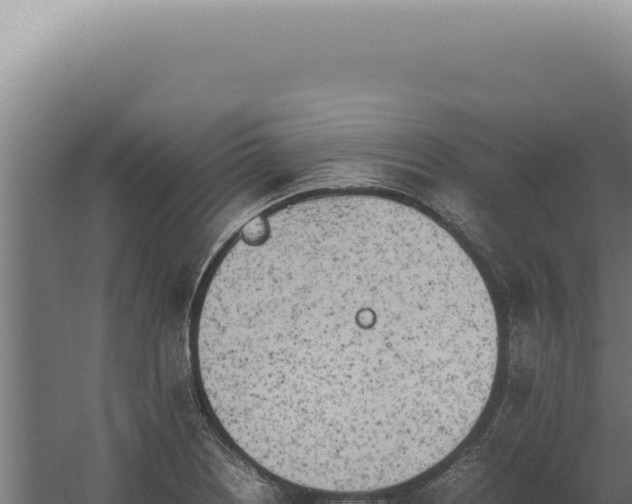 X0000060261226200511041341