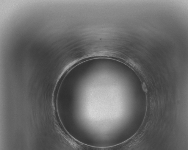 X0000060261230200511041341