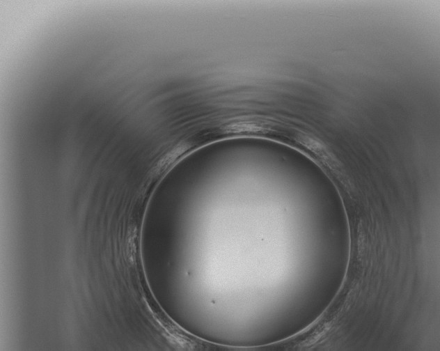 X0000060261233200511041341