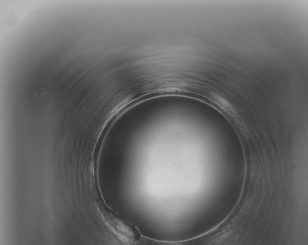 X0000060261234200511041341