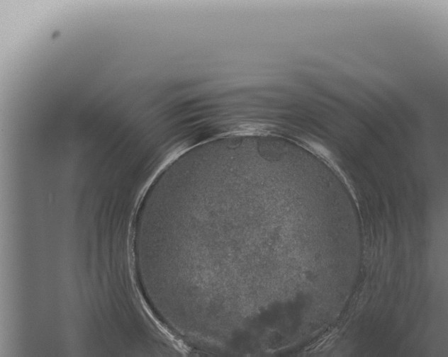 X0000060261235200511041341