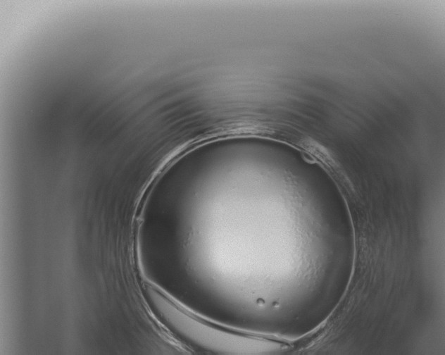 X0000060261236200511041341