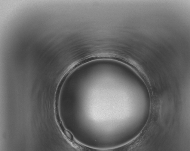 X0000060261237200511041341