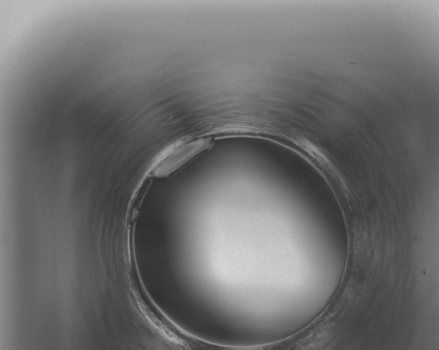 X0000060261238200511041341