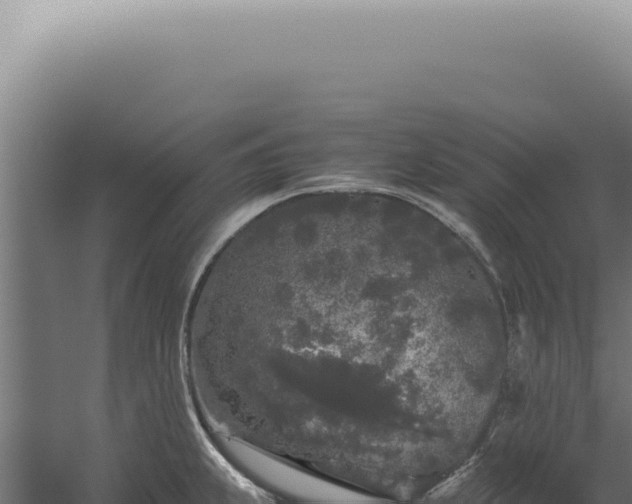 X0000060261239200511041341