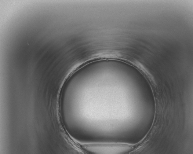 X0000060261240200511041341