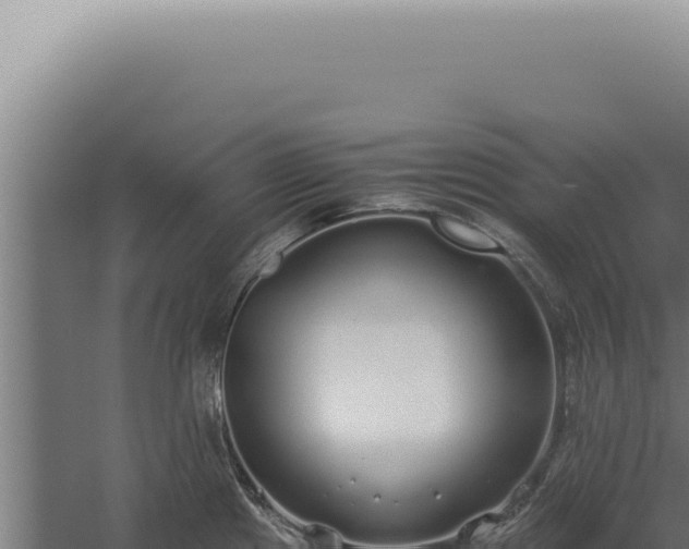 X0000060261241200511041341