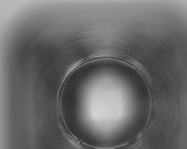 X0000060261242200511041341