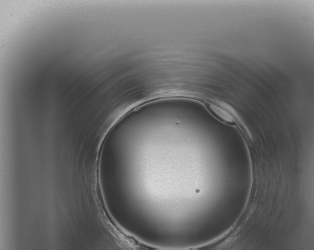 X0000060261244200511041341