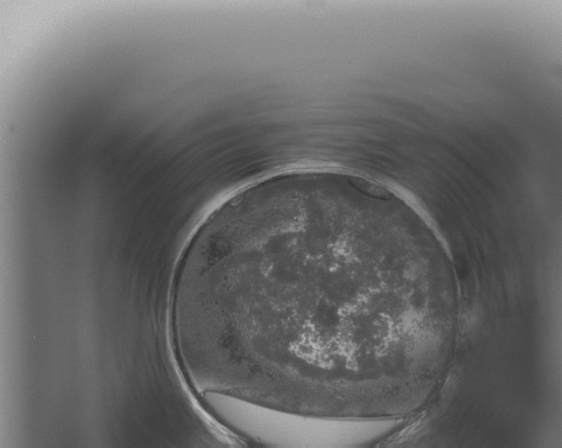 X0000060261245200511041341