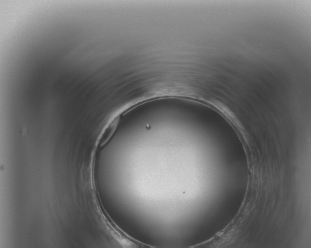 X0000060261246200511041341