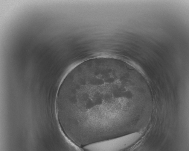 X0000060261247200511041341