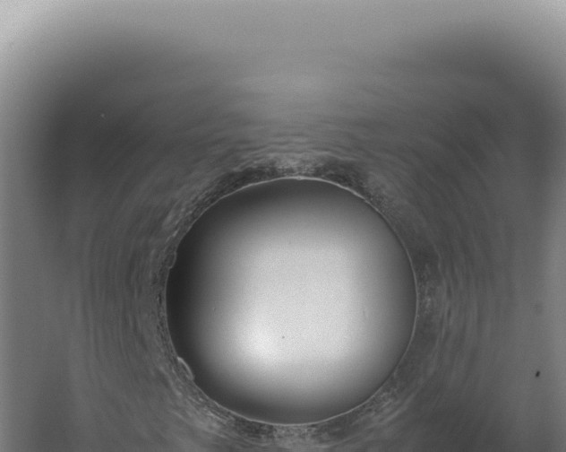 X0000060261249200511041340