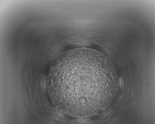 X0000060261251200511041340