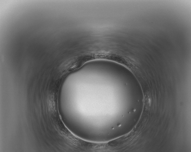 X0000060261252200511041340