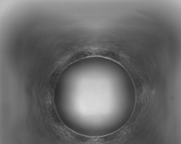 X0000060261253200511041340