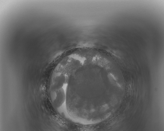 X0000060261254200511041340