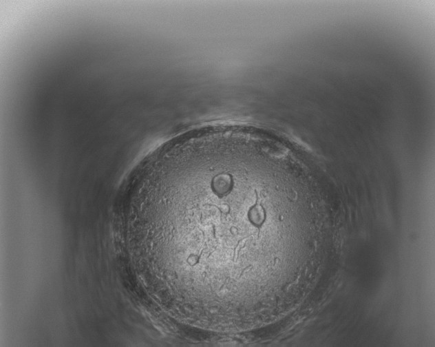 X0000060261255200511041340