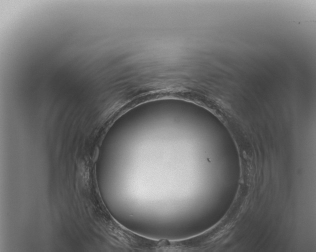 X0000060261257200511041340