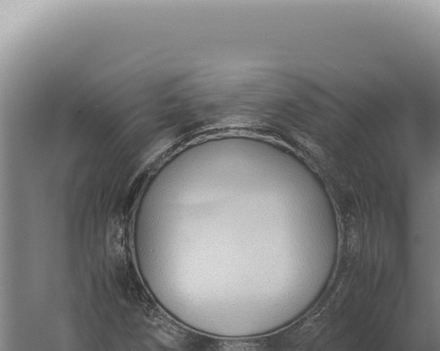 X0000060261258200511041340