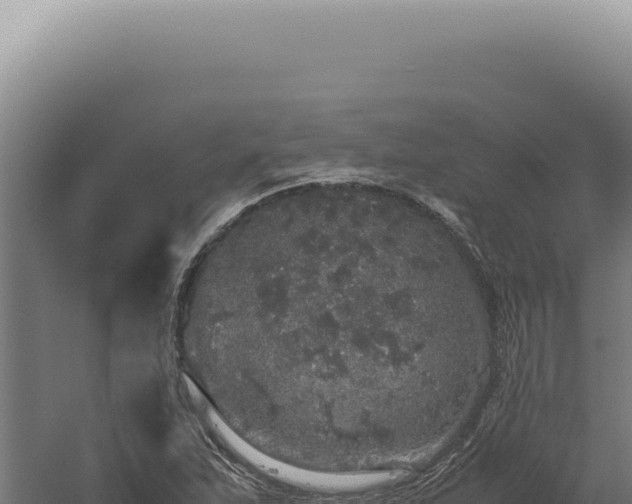 X0000060261263200511041340