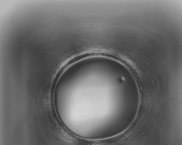 X0000060261264200511041340