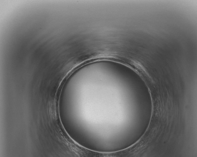 X0000060261268200511041340