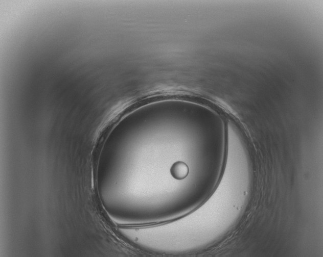 X0000060261269200511041340